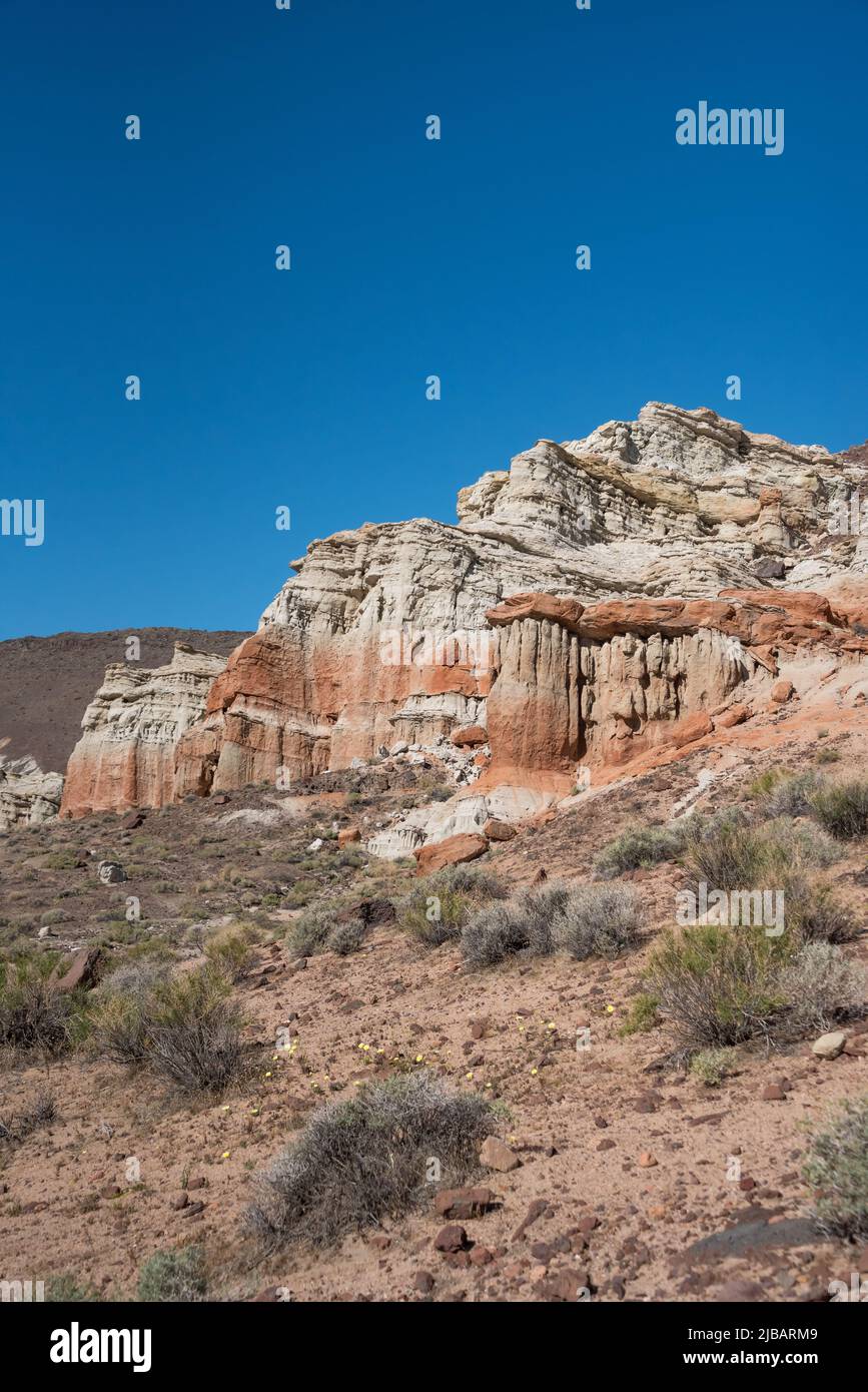Wunderschöne geologische Sandsteinformationen im Red Rock Canyon State Park California, vom Hagen Canyon Nature Trail aus gesehen, der nördlichen Mojave-Wüste. Stockfoto