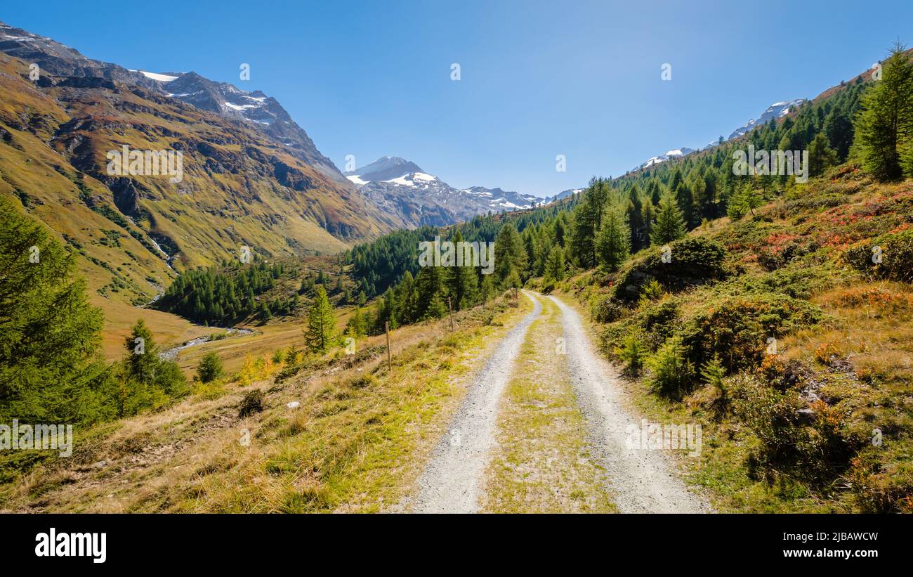 Wanderwege im Fex-Tal (Schweiz) bieten eine schöne Aussicht, wenn Sie vom Fex-Gletscher am Ende zurück zum Anfang in der Nähe von Sils Maria laufen Stockfoto