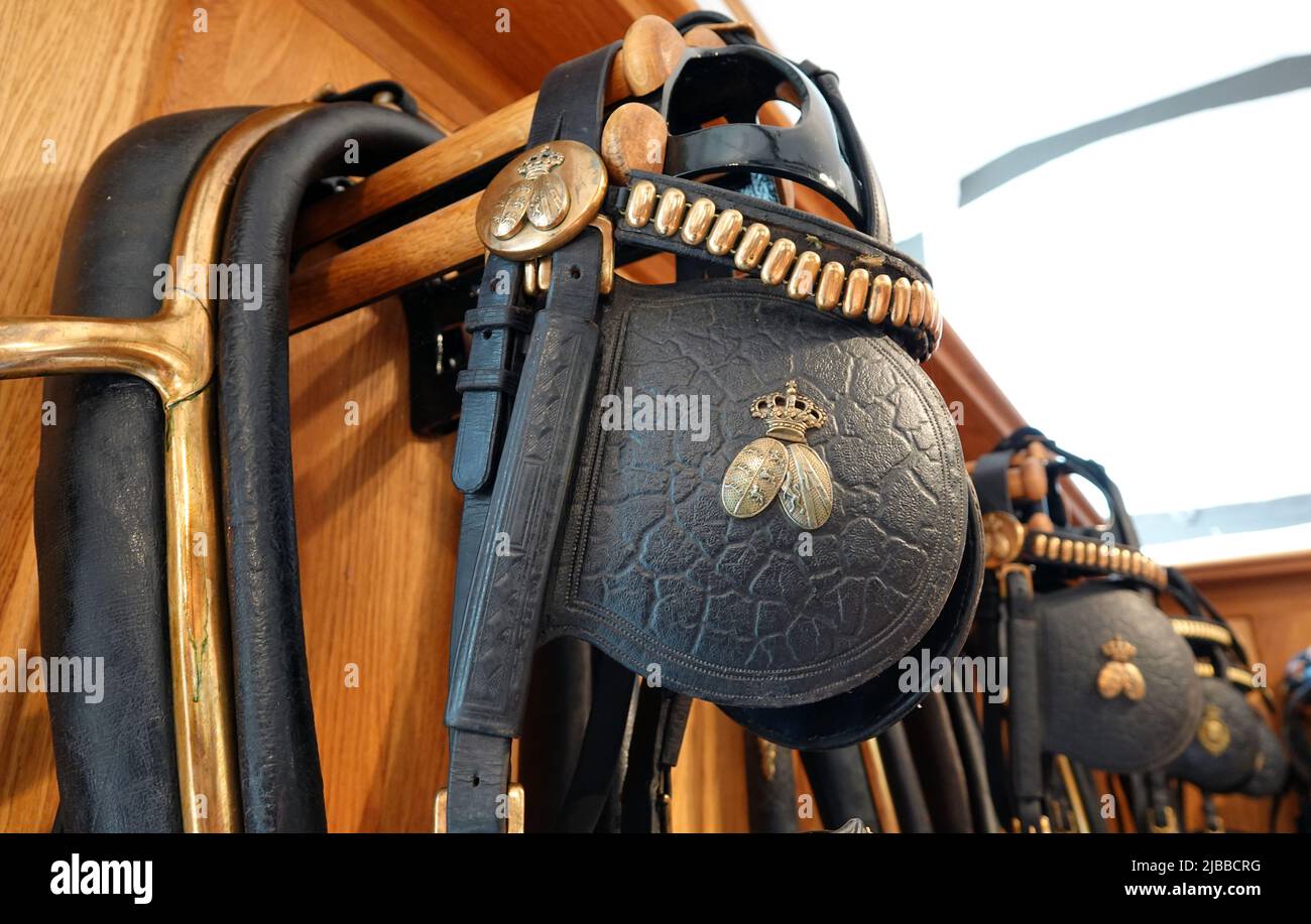 Gomadingen, Deutschland. 25.. Mai 2022. Pferdegeschirr hängt in einem Harness-Raum im Marbach-Main- und Landgestüt. Das Haupt- und Landgestüt Marbach ist mehr als 500 Jahre alt. Im Laufe der Zeit waren viele Anpassungen notwendig, neue Aufgaben wurden hinzugefügt. Neben der Erhaltung gefährdeter Pferderassen gibt es noch weitere Herausforderungen. (To dpa: Marbach State Stud Faces Cuts - Generationswechsel, Öko und KI) Quelle: Christian Johner/dpa/Alamy Live News Stockfoto