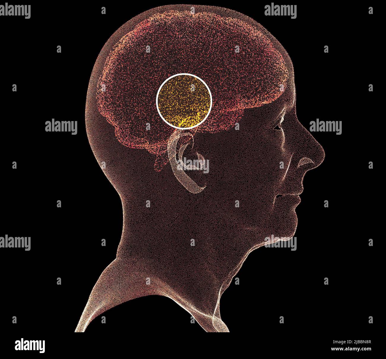 Wie das Gehirn funktioniert. Synapsen und Neuronen. Verbindungen. Kümmern Sie sich um Ihr Gehirn. Degenerative Erkrankungen, Parkinson und Alzheimer, ältere Frau Stockfoto