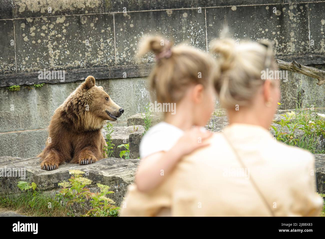 Bärenpark Bern. Die Bärengraben ist eines der beliebtesten Touristenziele für Kinder. Bern, Schweiz - Juni 2022 Stockfoto