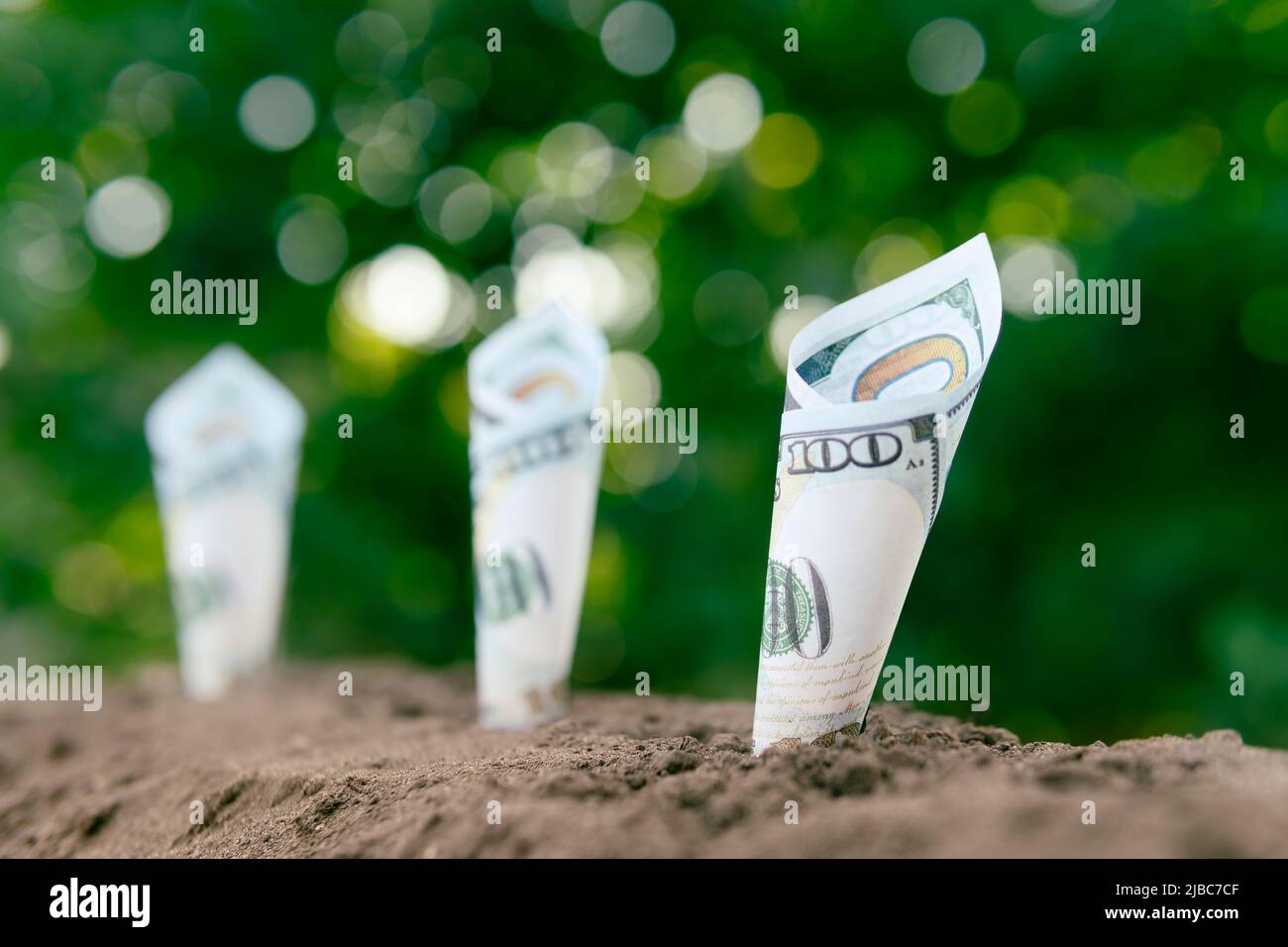 Auf einem grünen Hintergrund des Gartens werden 100 Dollar in den Boden gepflanzt. Das Konzept der Rentabilität in der Landwirtschaft. Geld in der Farm. Ernte, cr Stockfoto