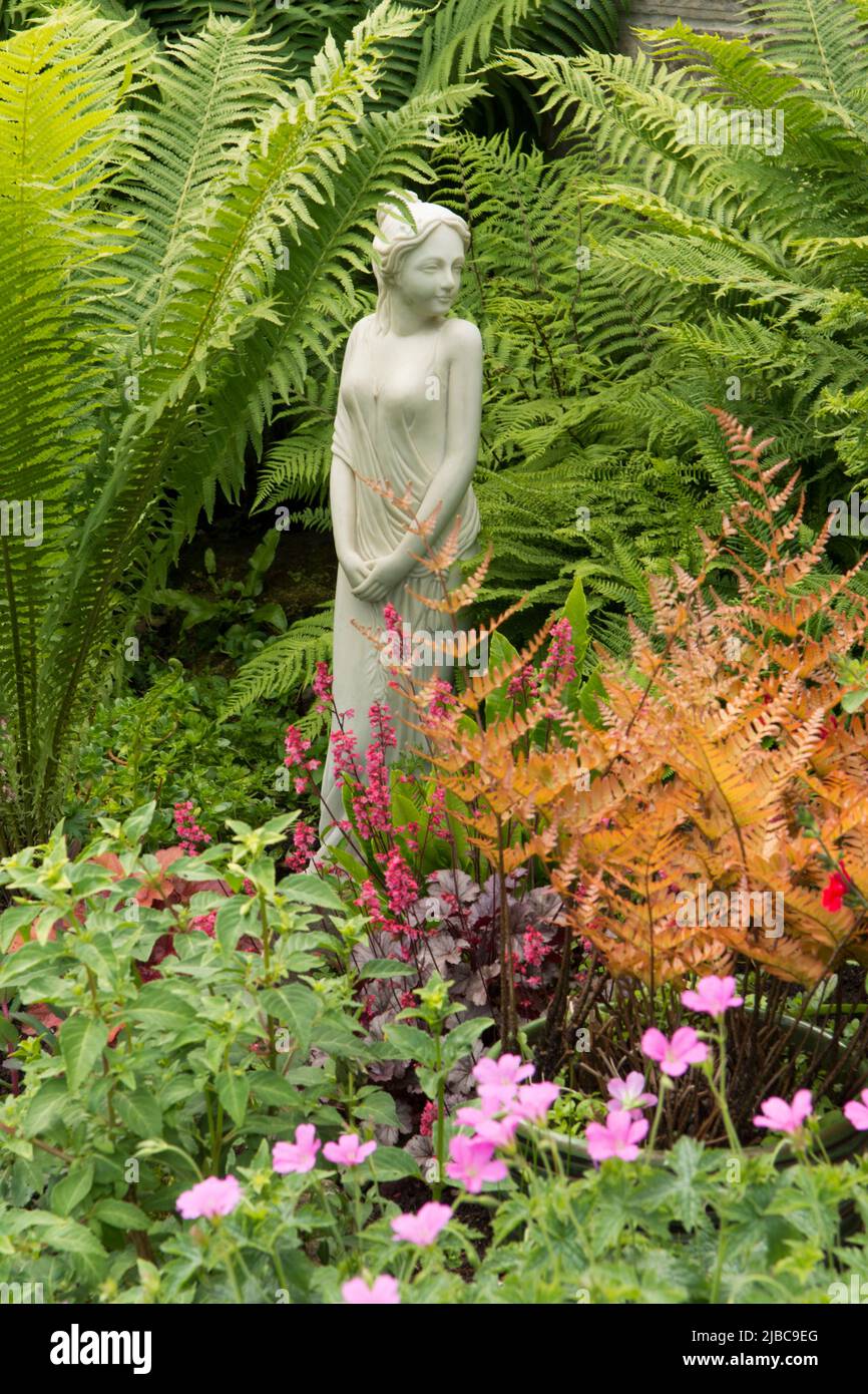 Federockenfarn, Straußenfarn, Straußenfeder, Matteuccia struthiopteris, Marmor, Alabaster, Statue, Statuen, Frau, Dame, Weibchen. Farnerie, Stockfoto