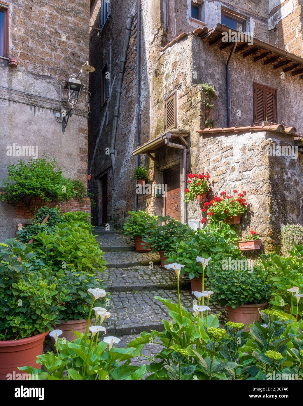 Die schöne kleine Stadt Capranica, in der Provinz Viterbo. Latium, Mittelitalien. Stockfoto