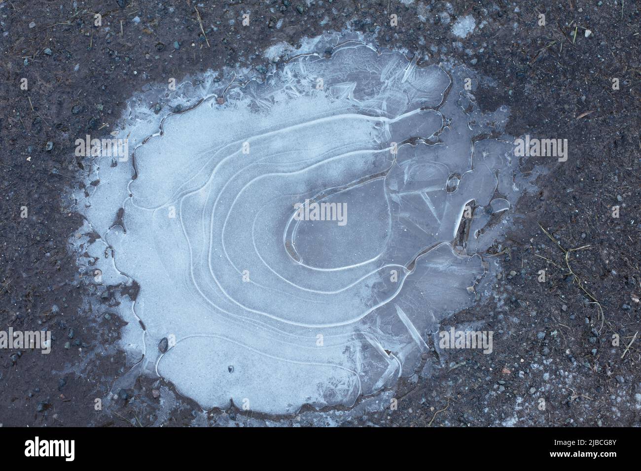 Gefrorene Pfütze im Winter mit kreisförmigen Eismustern Stockfoto