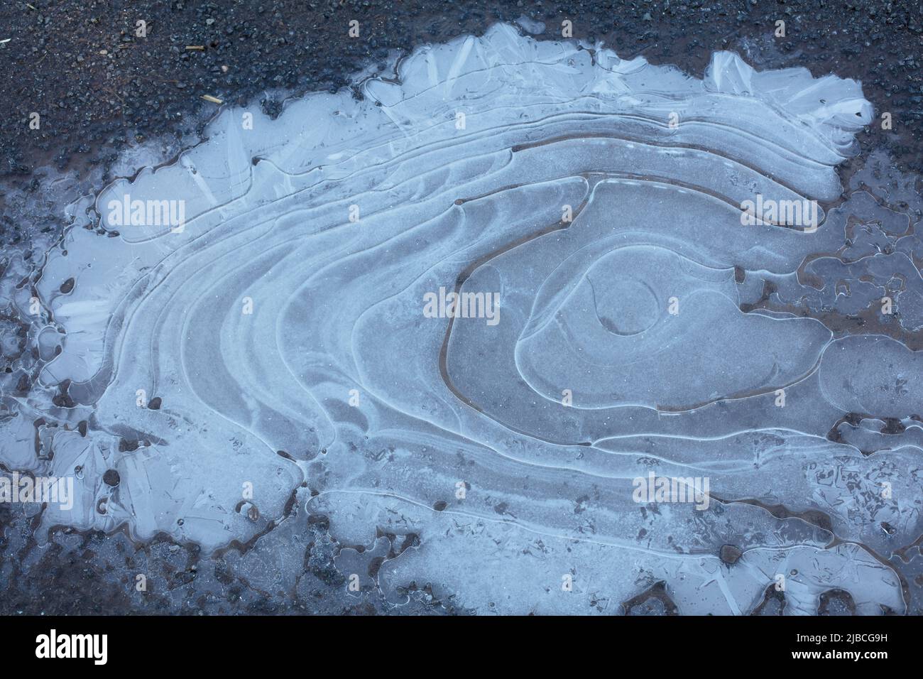 Gefrorene Pfütze mit kreisförmigen Eismustern Stockfoto