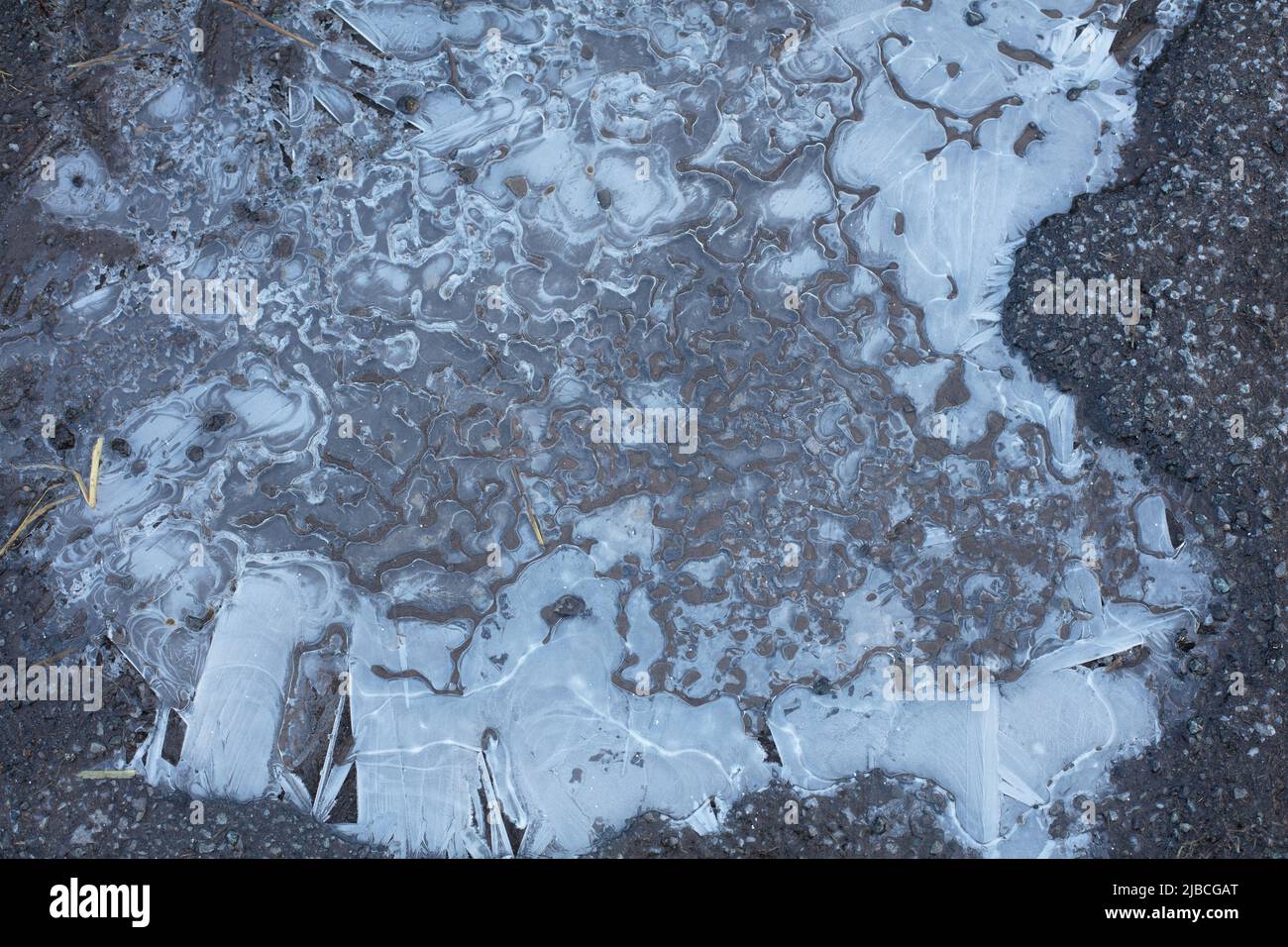 Eisige Formationen in gefrorenen Pfützen Stockfoto