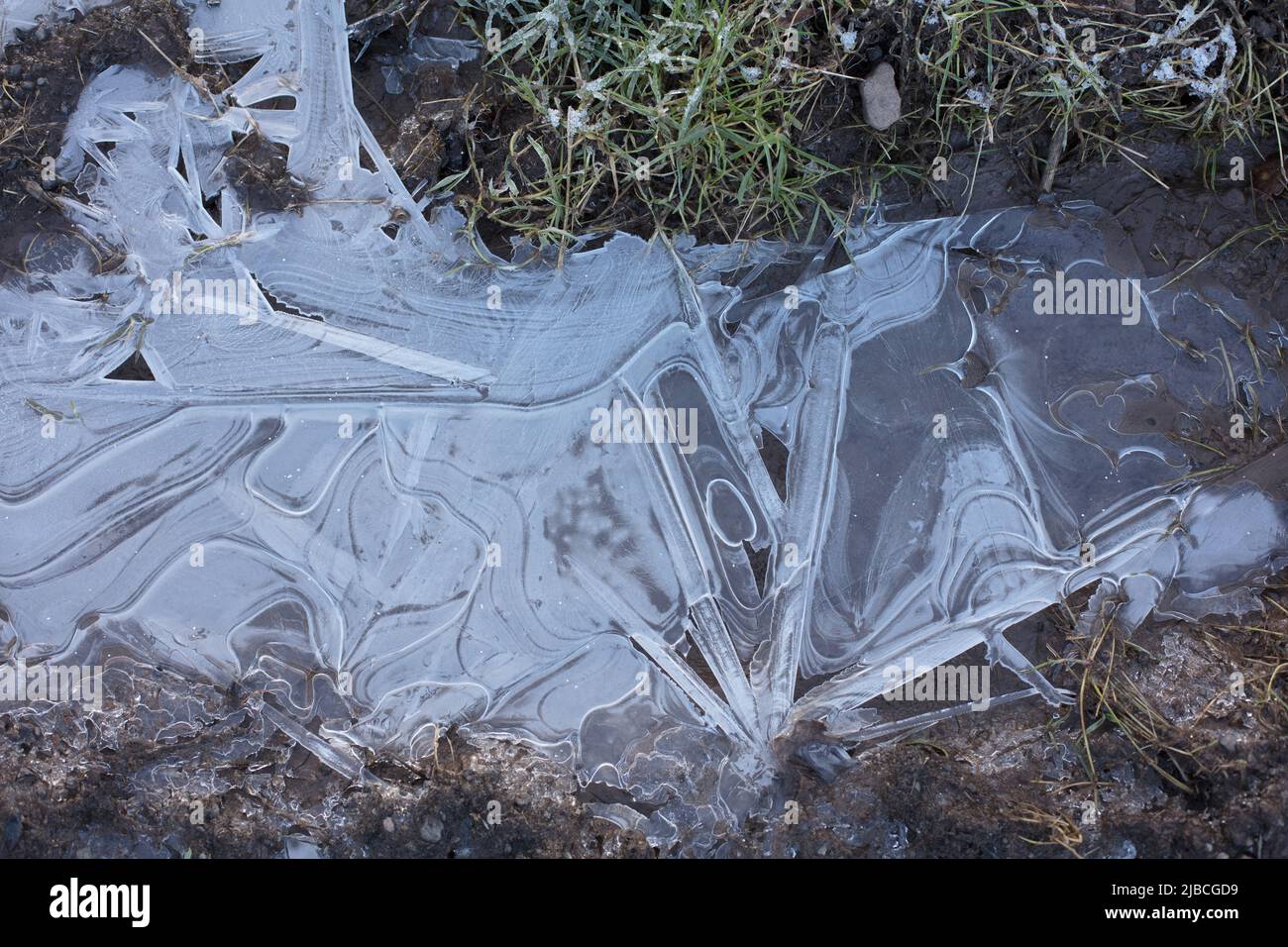 Abstrakte Eismuster in gefrorenen Wasserpfützen, Ansicht von oben Stockfoto