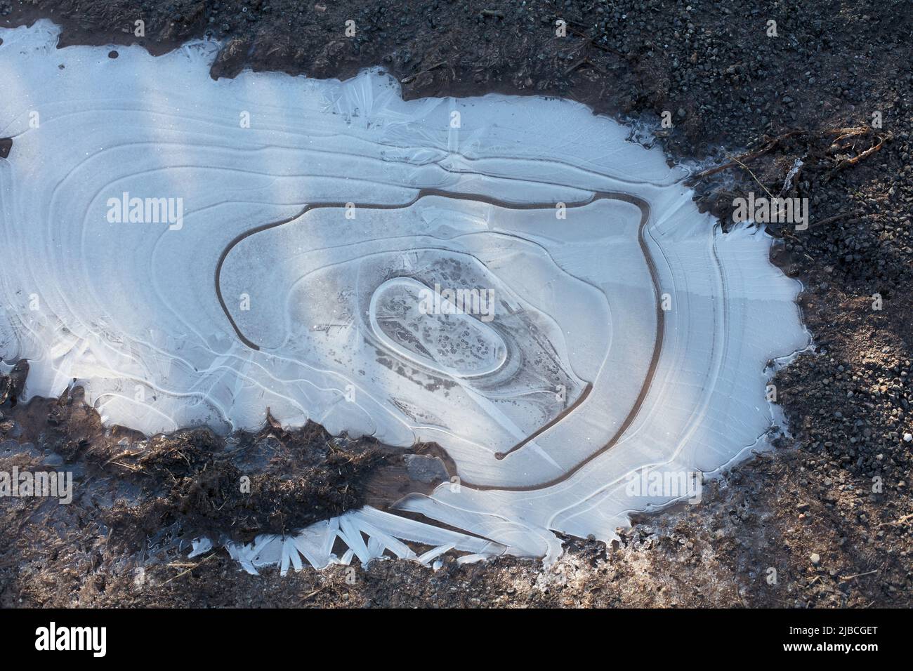 Gefrorene Pfütze im Winter mit kreisförmigen Eismustern Stockfoto