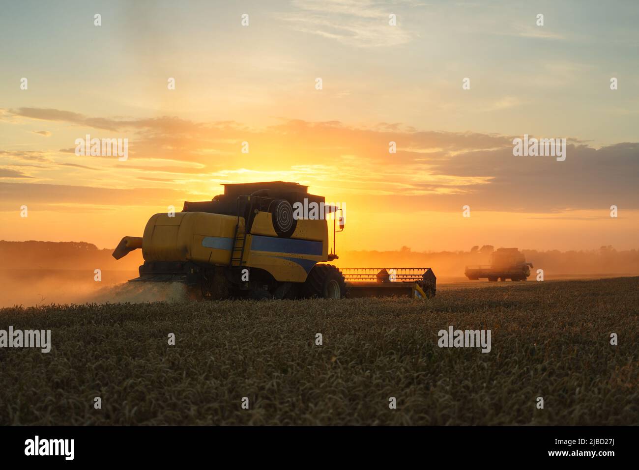 Mähdrescher ernten reifen Weizen. Reife Ähren gold Feld auf den Sonnenuntergang bewölkt orange Himmel Hintergrund. . Konzept für eine reiche Ernte. Landwirtschaft Stockfoto
