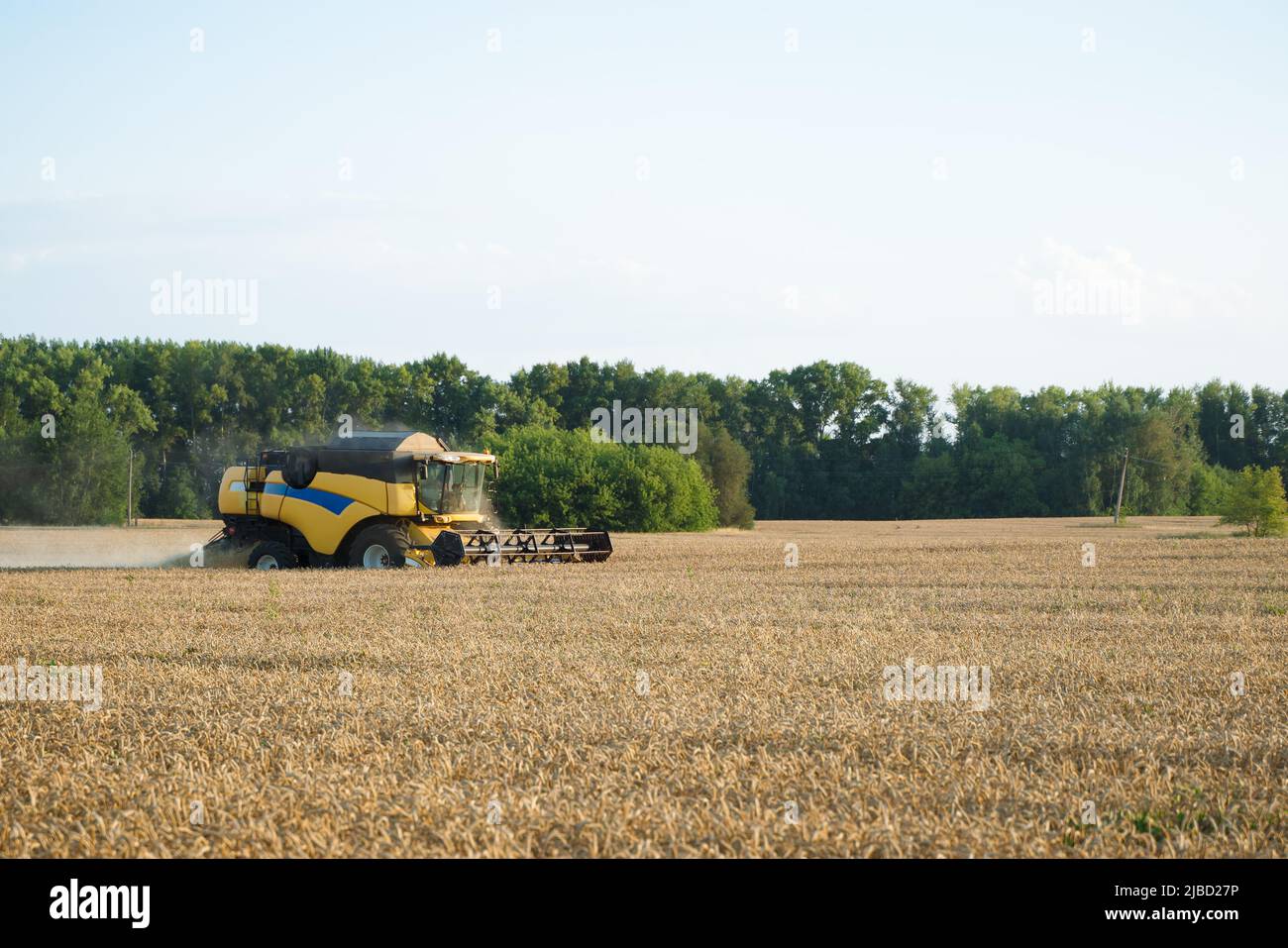 Mähdrescher ernten reifen Weizen. Reife Ähren gold Feld auf den Sonnenuntergang bewölkt orange Himmel Hintergrund. . Konzept für eine reiche Ernte. Landwirtschaft Stockfoto