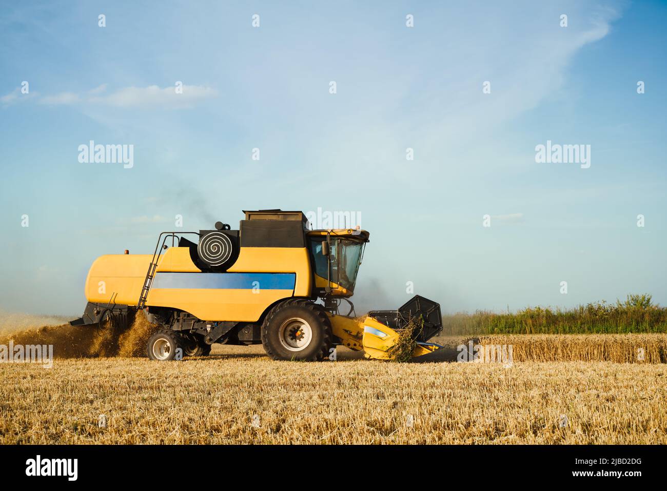 Mähdrescher ernten reifen Weizen. Reife Ähren gold Feld auf den Sonnenuntergang bewölkt orange Himmel Hintergrund. . Konzept für eine reiche Ernte. Landwirtschaft Stockfoto