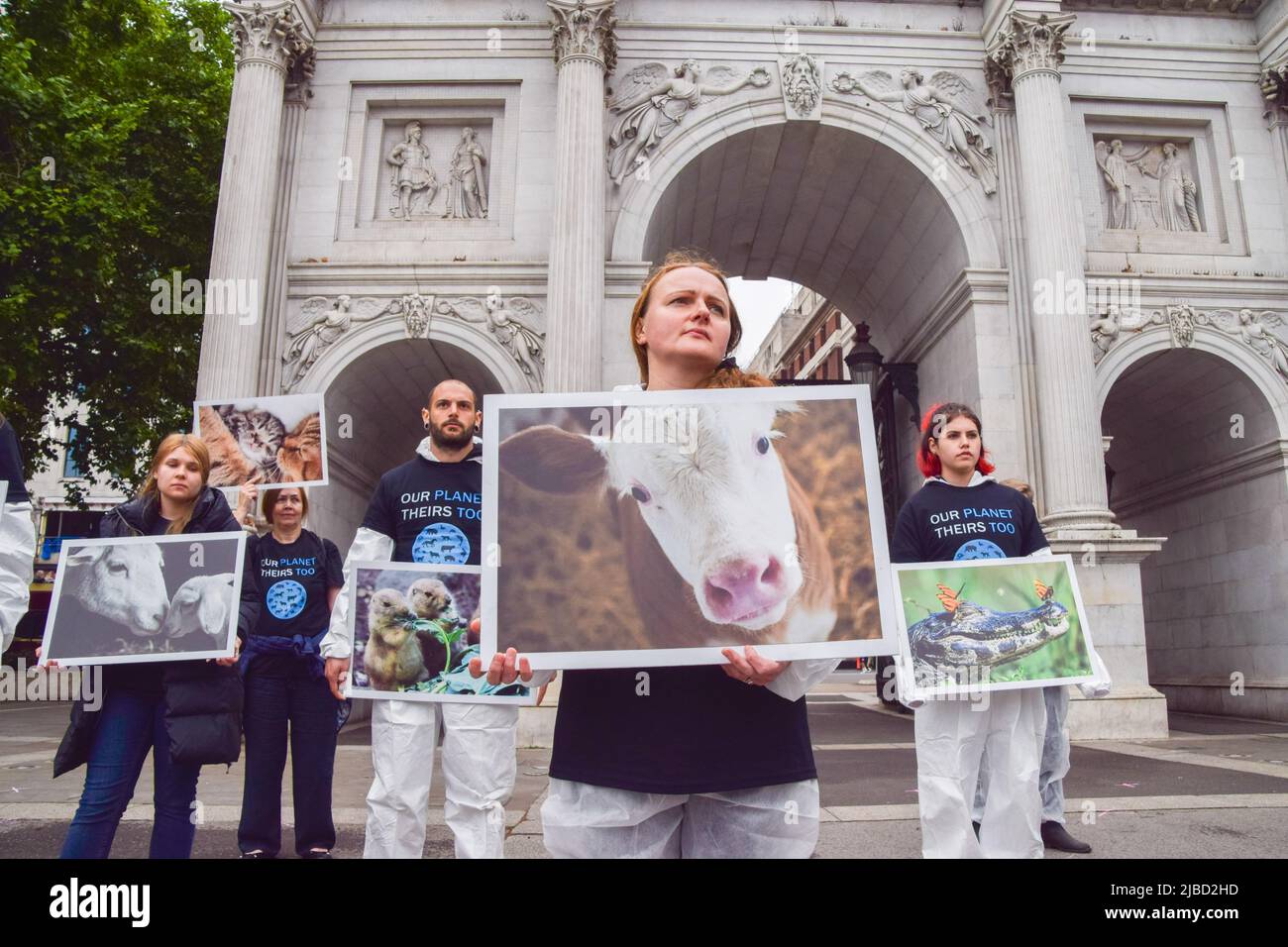 5. Juni 2022, London, England, Großbritannien: Aktivisten halten Bilder von Tieren. Tierrechtler versammelten sich in Marble Arch, um den Nationalen Tag der Tierrechte zu feiern, der an die Milliarden von Tieren erinnert, die jedes Jahr von Menschen ausgebeutet, missbraucht und getötet werden, und die Öffentlichkeit über die Schrecken aufzuklären, die Tiere durchmachen, und pflanzliche, grausame Alternativen aufzuzeigen. Einige Aktivisten hielten echte Tiere, darunter Vögel, ein Eichhörnchen, einen Igel, Ratten und Füchse, Die an natürlichen Ursachen gestorben sind. (Bild: © Vuk Valcic/ZUMA Press Wire) Stockfoto