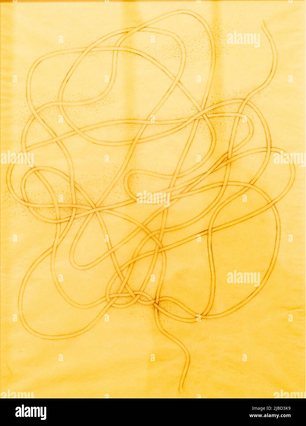 Drawning for a Knot, 1947, Anni Albers, Bleistift auf Kalkpapier, Bauhaus Stockfoto