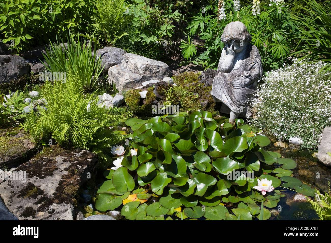 Kleine Statue am Rand des Teiches mit weißen Nymphaea Wasserliliy