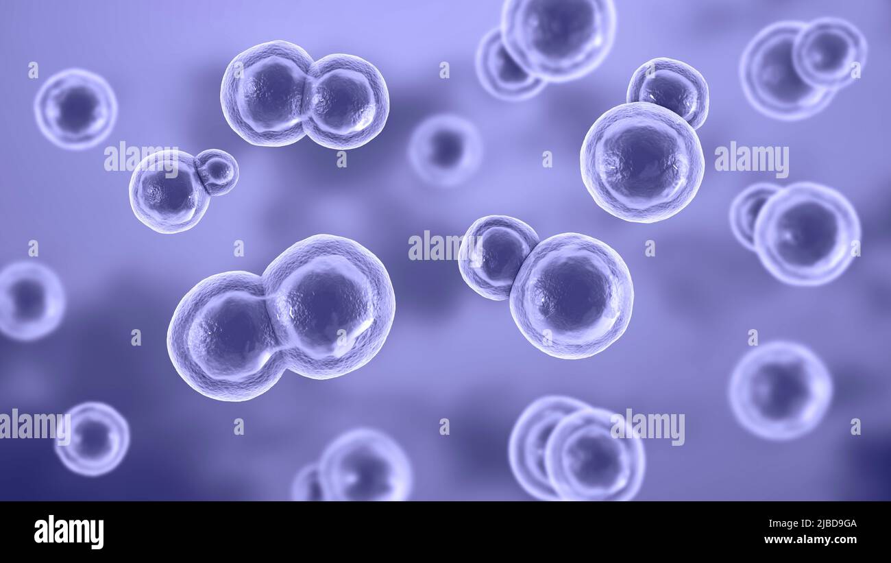 Blastomyces-Pilz, Illustration Stockfoto