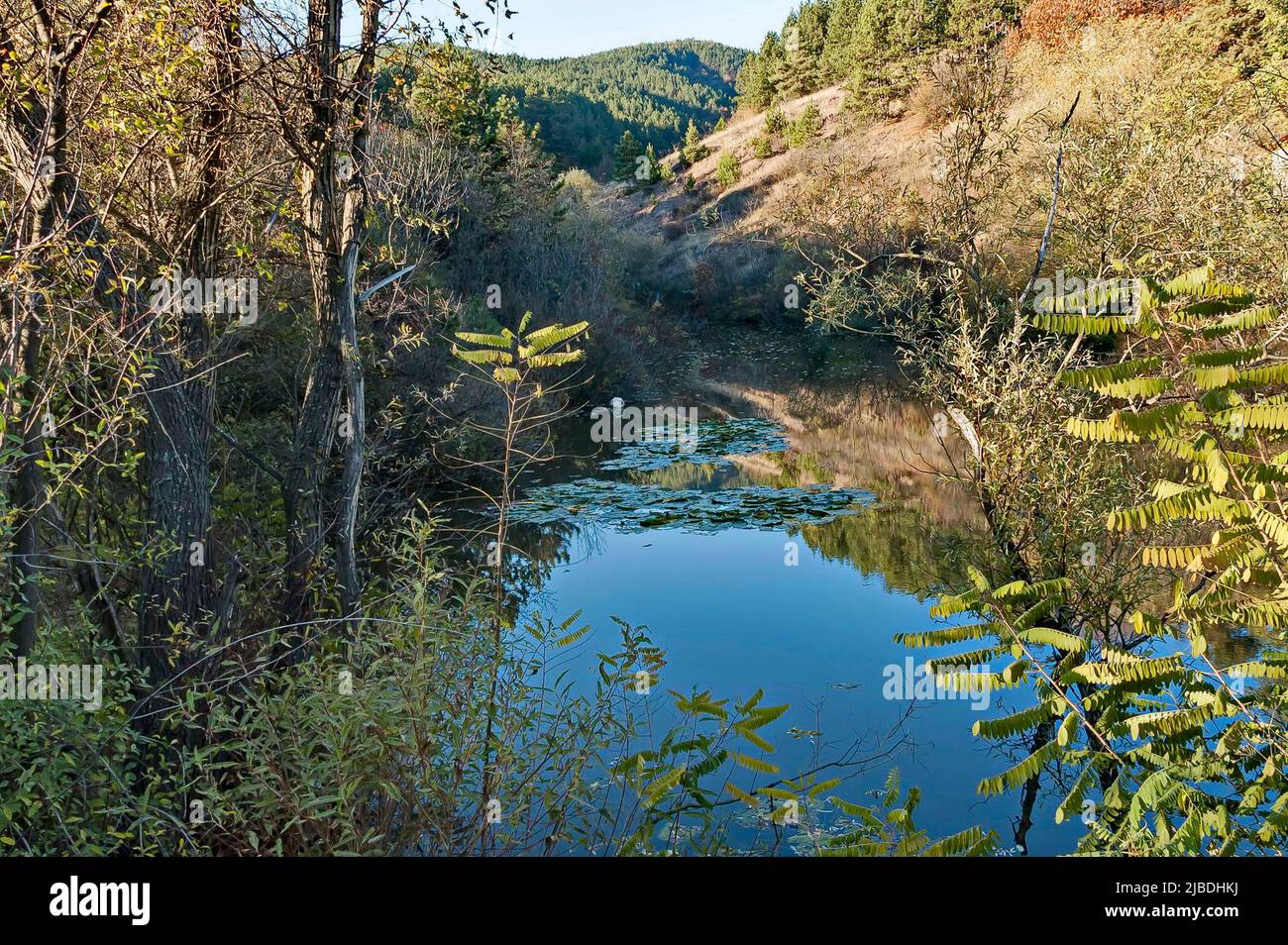 Landschaft mit Wald, See und Seerosen im Herbst, Katina Dorf, Sofia, Bulgarien Stockfoto