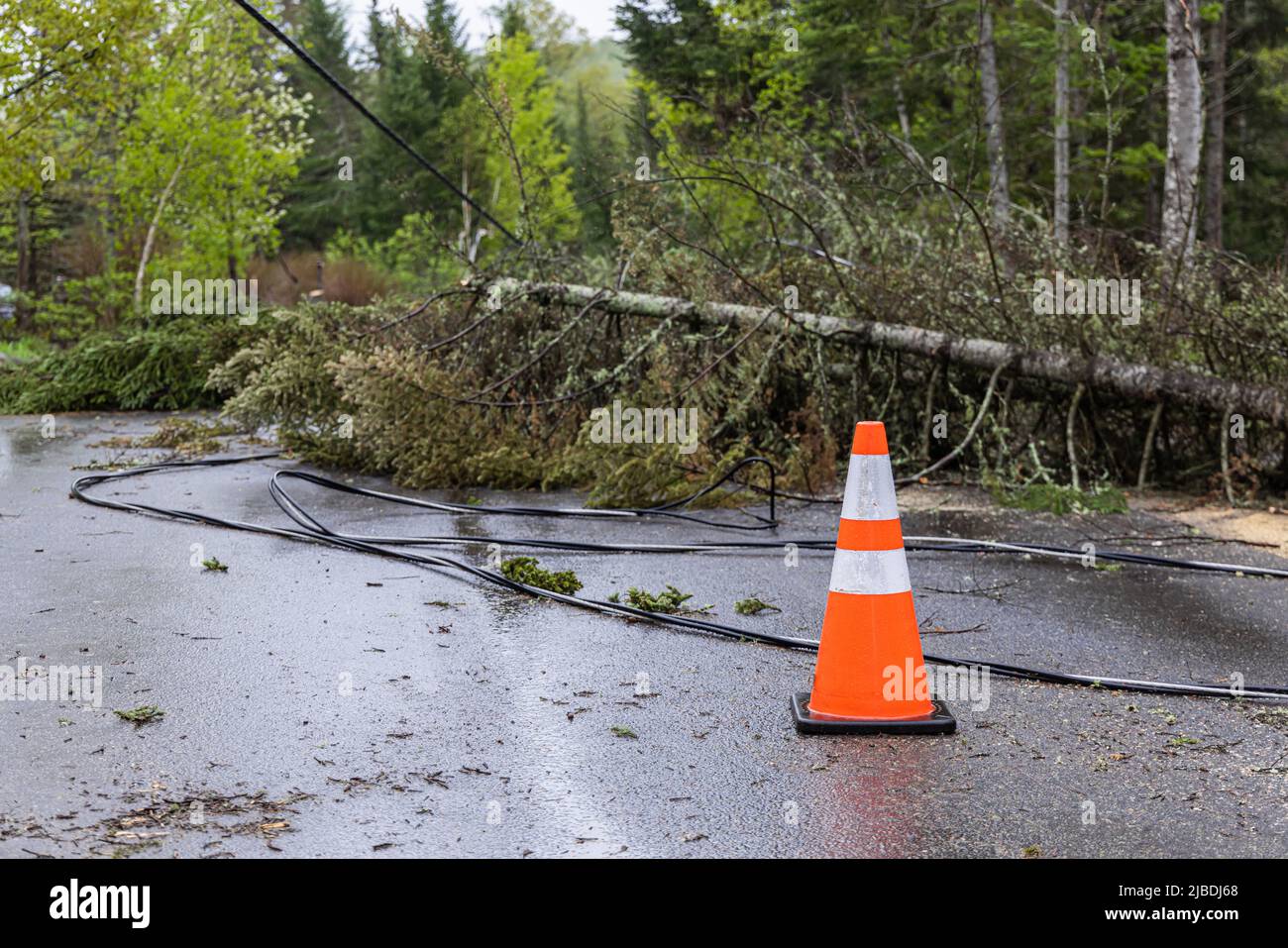 Saisonale Stürme trafen das ländliche Dorf Val David, Quebec, Kanada. Straßensperrungen, da Stromleitungen von abgetrennten Bäumen heruntergefahren werden. Mit Kopierbereich. Stockfoto