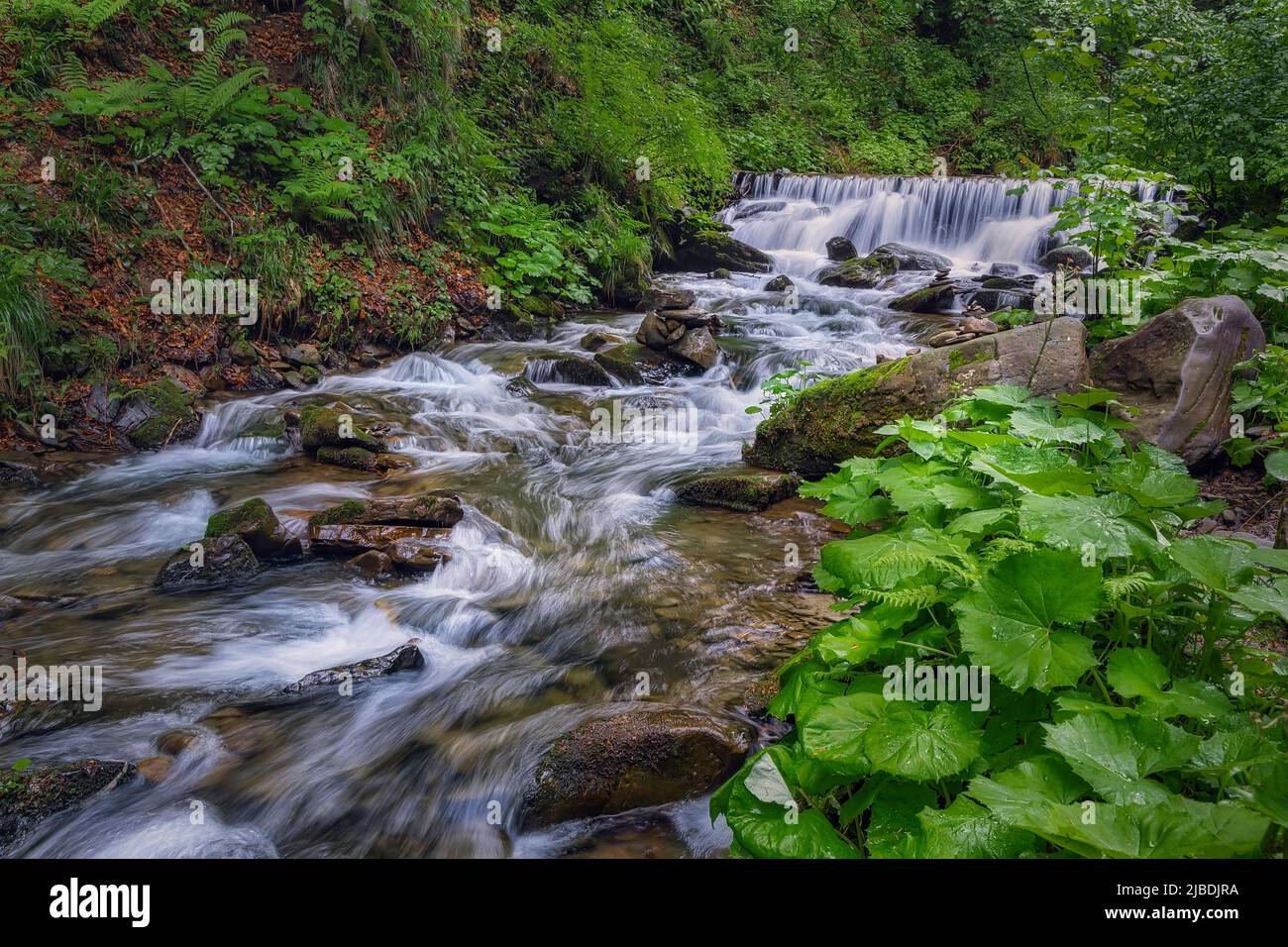 Schöner Wasserfall im Wald, sommerlicher Hintergrund im Freien Stockfoto