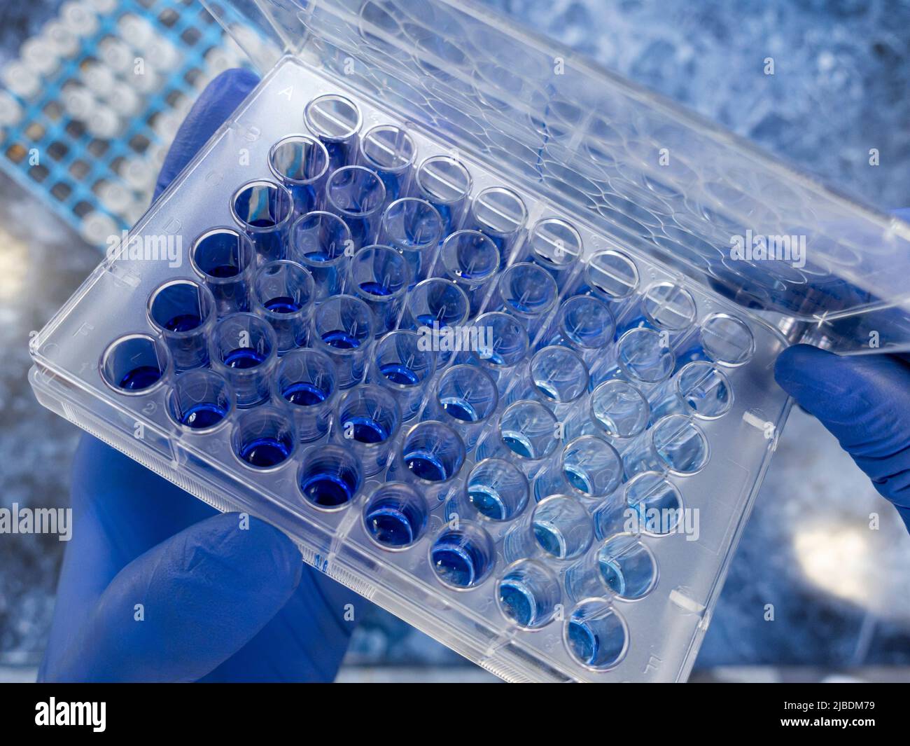 Aus nächster Nähe öffnete der Arzt den Deckel der immunologischen Tablette, dem Monkeypox-Antikörpertest. Stockfoto