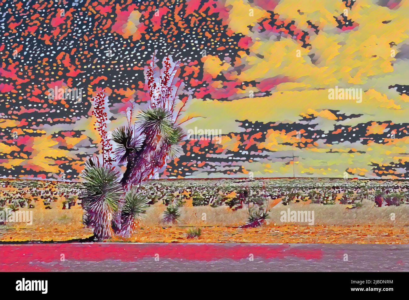 Wüstenlandschaft von New Mexico, USA, mit einer extrem hohen Soaptree Yucca oder Yucca elata. Bilder wurden in eine Illustration umgewandelt. Stockfoto