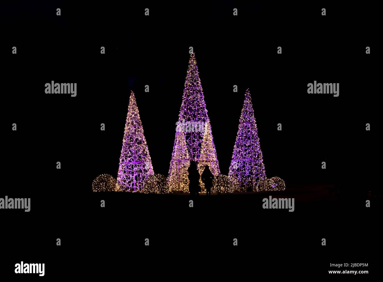 Dekorative weihnachtsbäume, die nachts von bunten Lichtern bedeckt sind, mit Silhouetten von Menschen, die sie betrachten Stockfoto