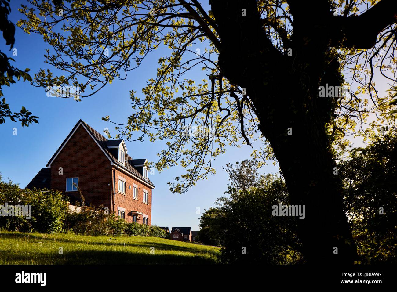 Wain Homes Cat I’ th’ Window Standish, Wigan Stockfoto