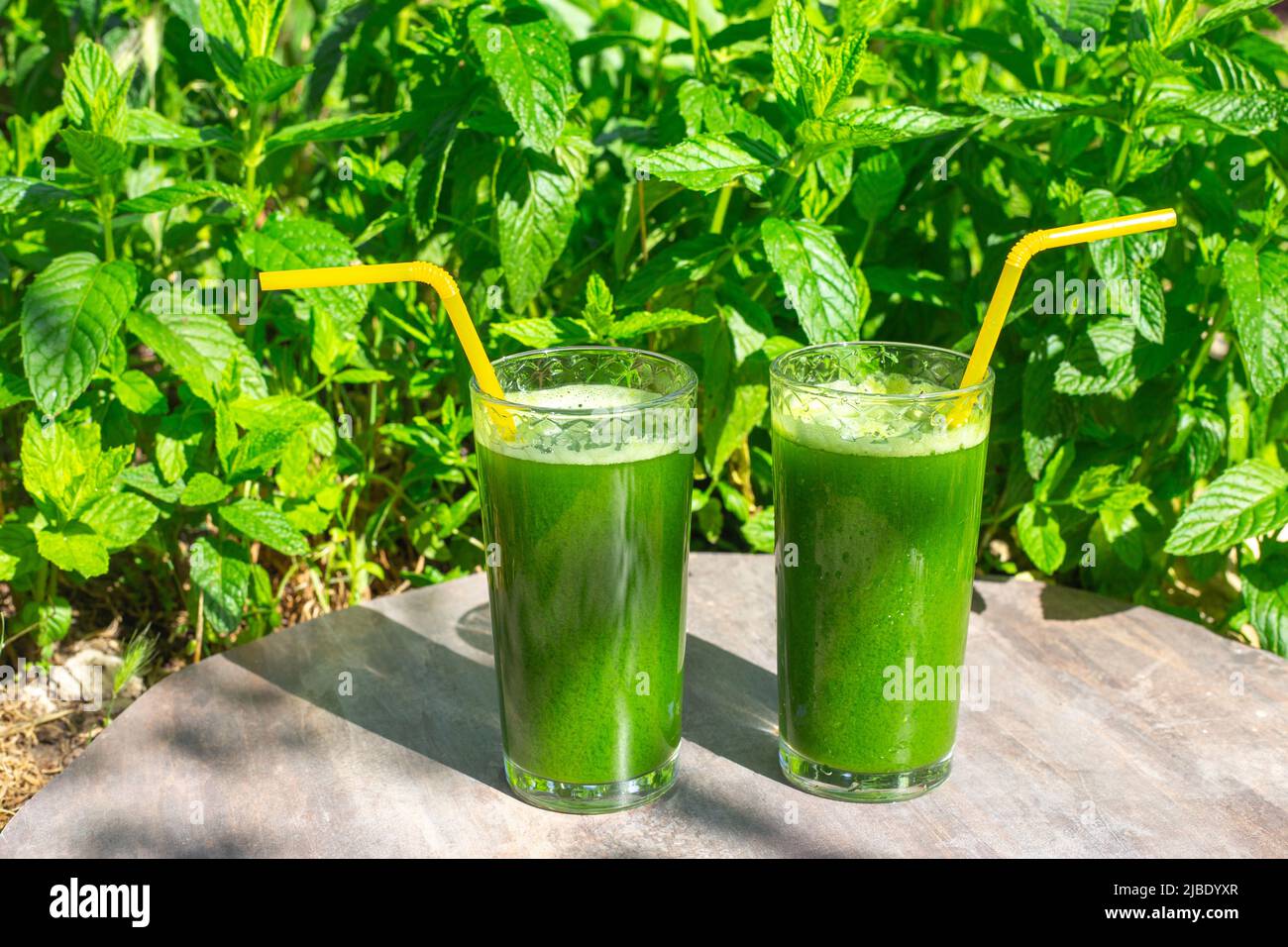 Zwei Gläser mit Getränken aus frischen Kräutern, Smoothies aus grünen, mit Chlorophyll gesättigten Blättern auf Minzgrund. Gesunde Ernährung. Stockfoto