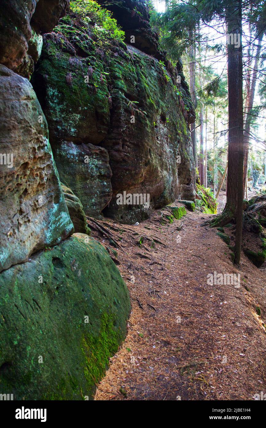 Mastale rockies oder Toulovcovy Mastale Rock City in der Nähe von Prosec Stadt, Sandstein rockies in der Tschechischen Republik Stockfoto