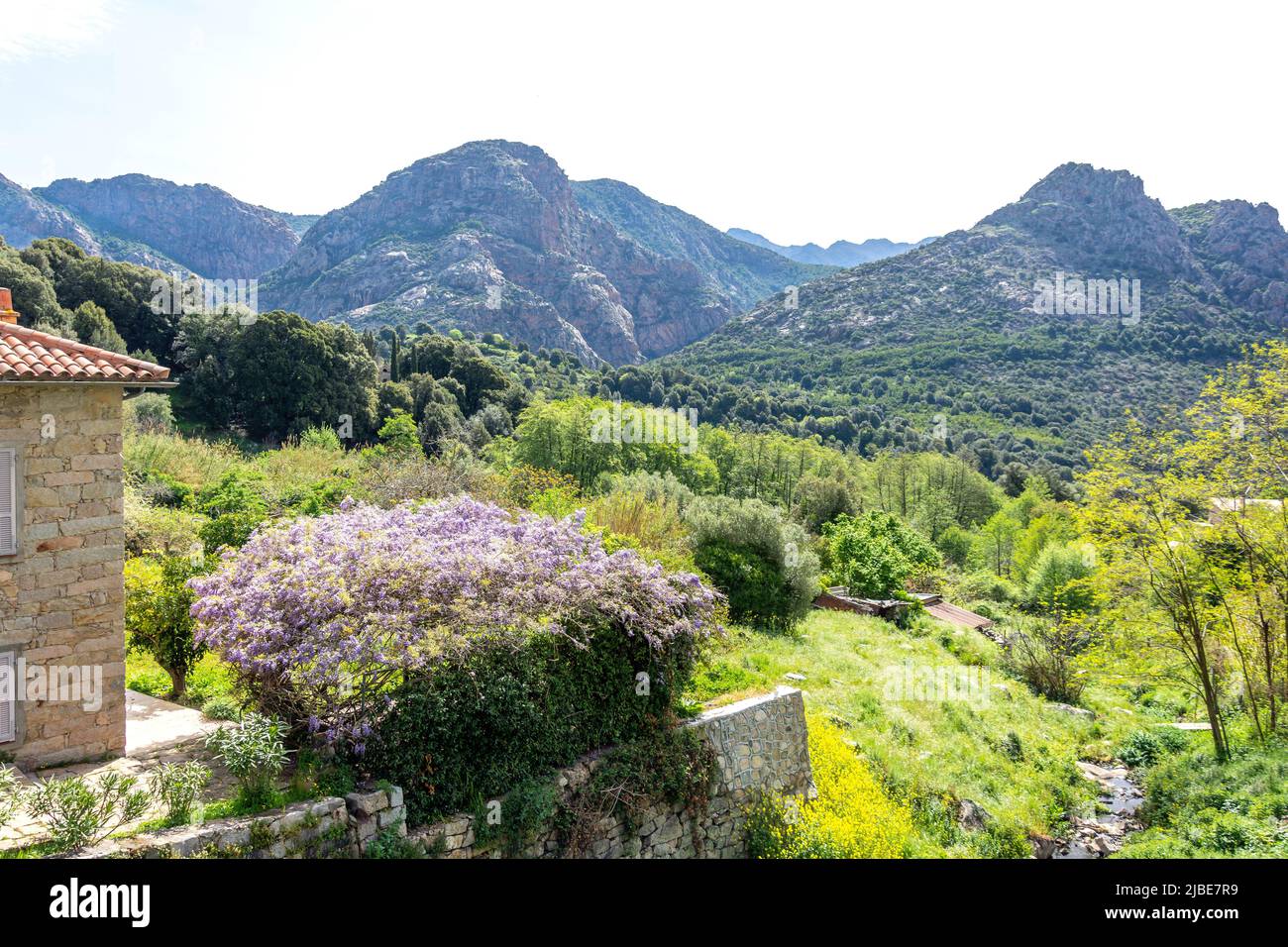 Berglandschaftsansicht vom Dorf, Ocana, Korsika (Corse), Corse-du-Sud, Frankreich Stockfoto