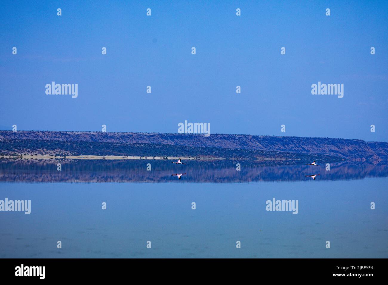 Der Magadi-See ist der südlichste See im Kenia Rift Valley und liegt in einem Einzugsgebiet von vulkanischen Felsen nördlich von Tansania Stockfoto