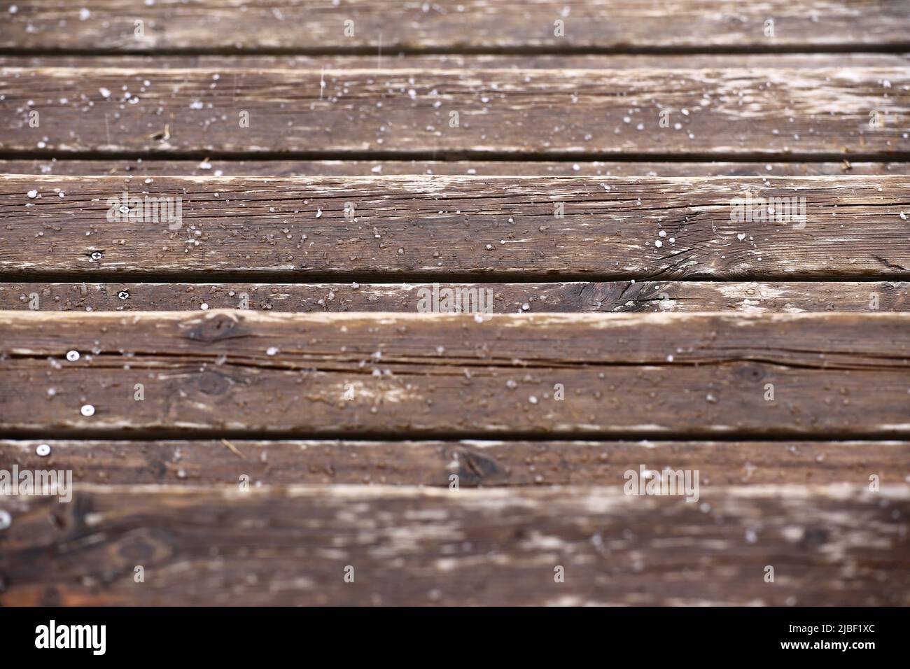 Nasse Holzlatten, bedeckt mit einigen Hagelsteinen. Stockfoto