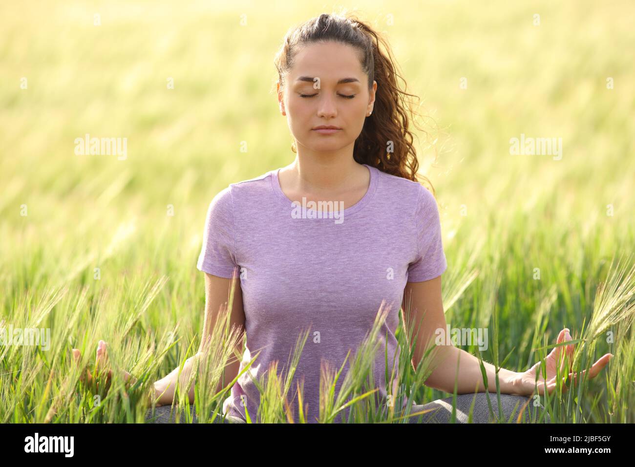 Vorderansicht Porträt einer entspannten Frau, die Yoga-Übungen in einem Weizenfeld macht Stockfoto