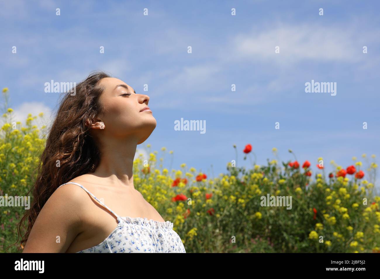 Entspannte Frau atmet frische Luft in einem Blumenfeld Stockfoto