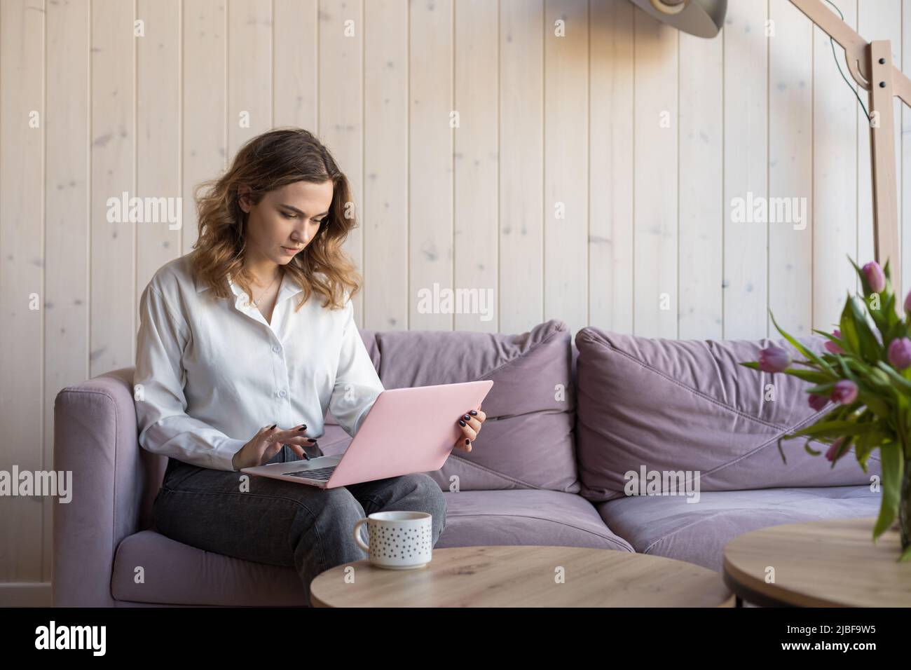 Seriöse junge Frau Geschäftsmann in weißem Hemd arbeitet zu Hause, auf gemütlichem Sofa und sorgfältig Typen Text, schaut durch Nachrichten. Online zu Hause arbeiten Stockfoto