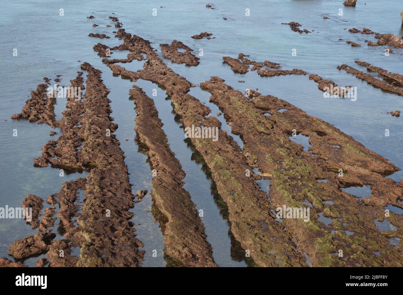 Ebbe auf Kosten von Biarritz Stockfoto