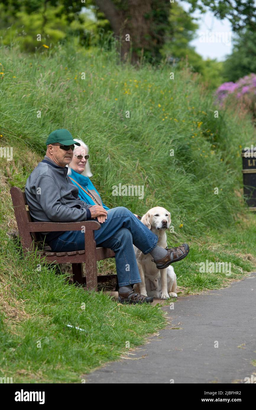 Ein älteres Paar und ihr Hund saßen im Park Stockfoto
