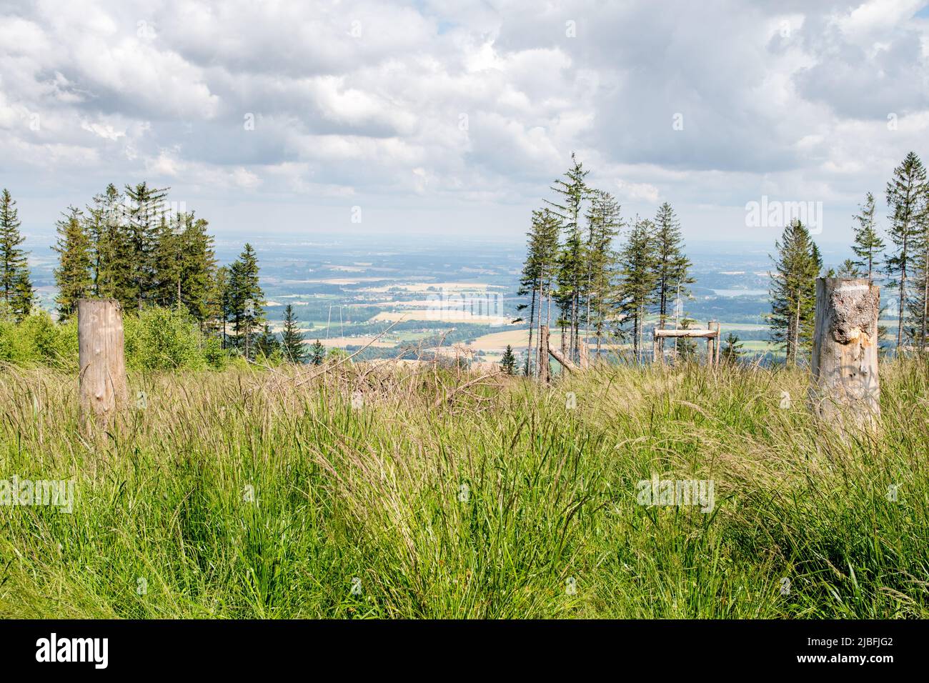 Grasbewachsene Hügel mit ein paar Bäumen und Blick ins Tal, eingefangen in der Nähe des Berges Javorový. Schlesien, Tschechische republik Stockfoto