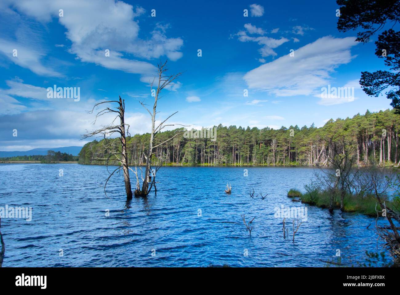 Loch Mallachie Stockfoto