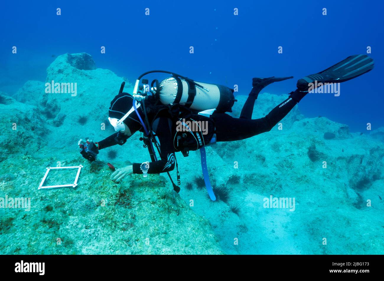 Meeresbiologen vermessen das benthische Leben in Kas Kekova Marine Protected Area Türkei Stockfoto