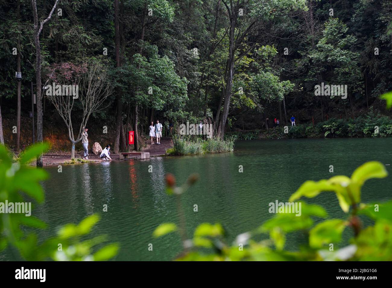 Chongqing, China. 4.. Juni 2022. Besucher besichtigen den Berg Jinyun in Chongqing, Südwestchina, 4. Juni 2022. Quelle: Wang Quanchao/Xinhua/Alamy Live News Stockfoto