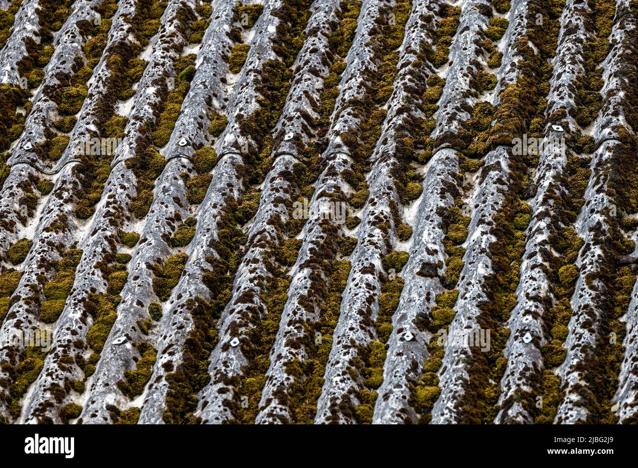 Gefährliche Asbestdächer sind in den Armutsparteien der Karpaten in Polen und der Ukraine immer noch verbreitet. Asbestic Fliese auf dem Scheunendach, Bi Stockfoto