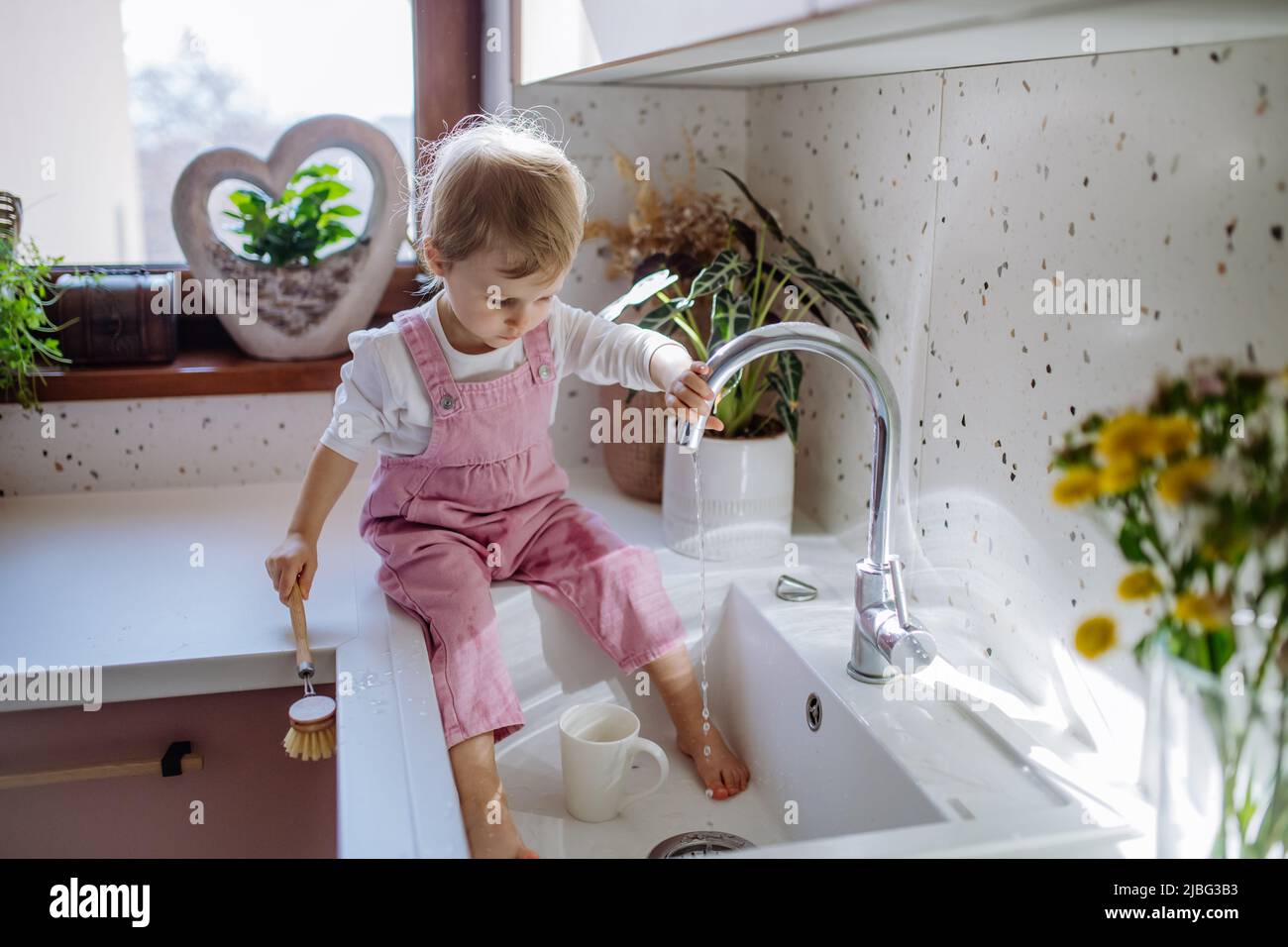Kleines Mädchen, das auf der Küchentheke sitzt und im Waschbecken in der Küche einen Waschbecher hat. Stockfoto