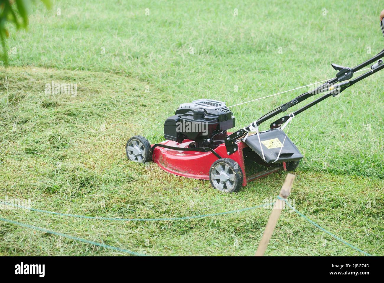 Zeitlupe des Rasenmähers auf Gras im Garten, Stockfoto