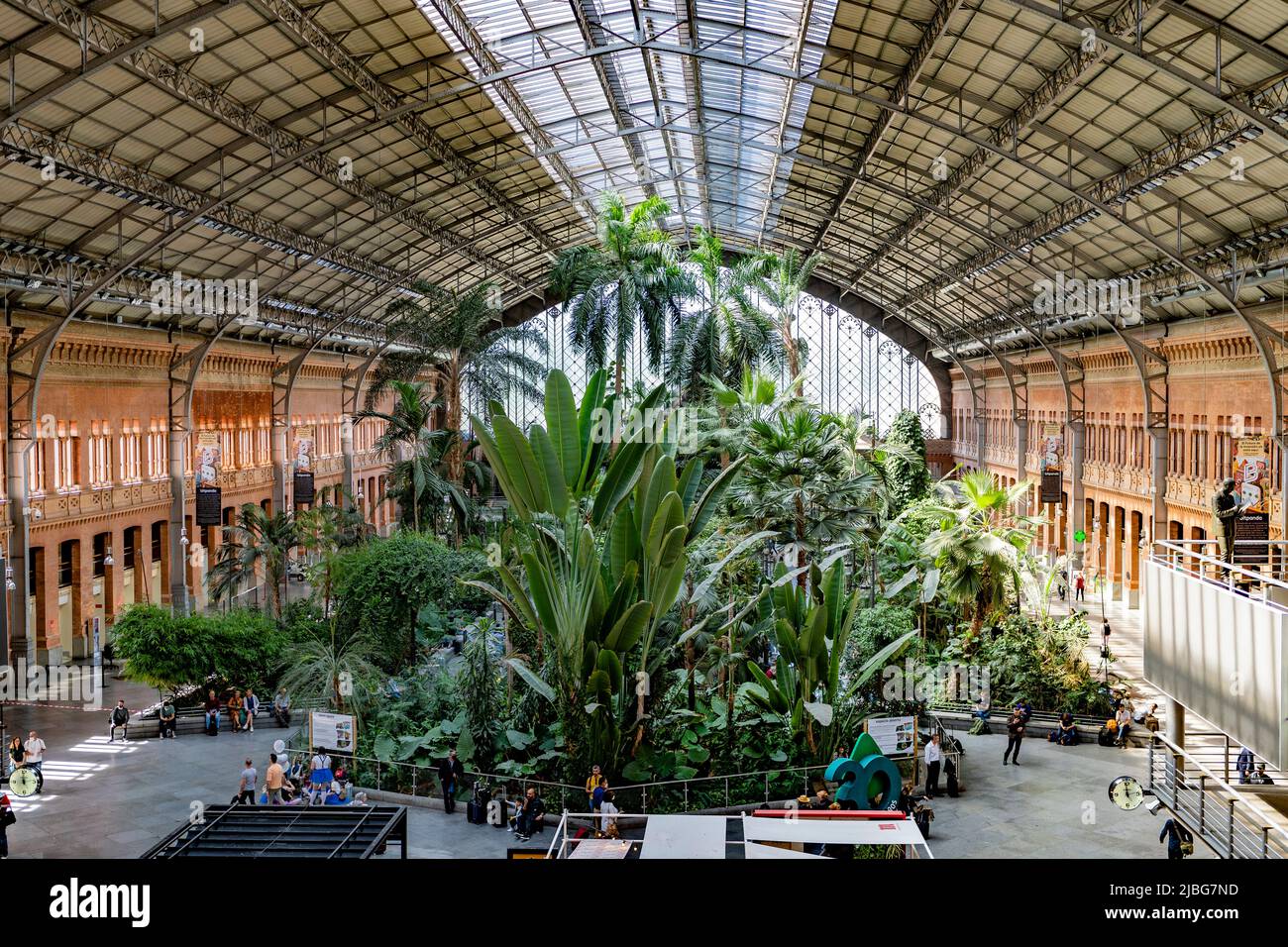 Der Bahnhof plaza Madrid Atocha ist ein atemberaubender, 4.000 m2 (43.056 Quadratfuß) großer, tropischer Garten. Entworfen von Rafael Moneo. Stockfoto