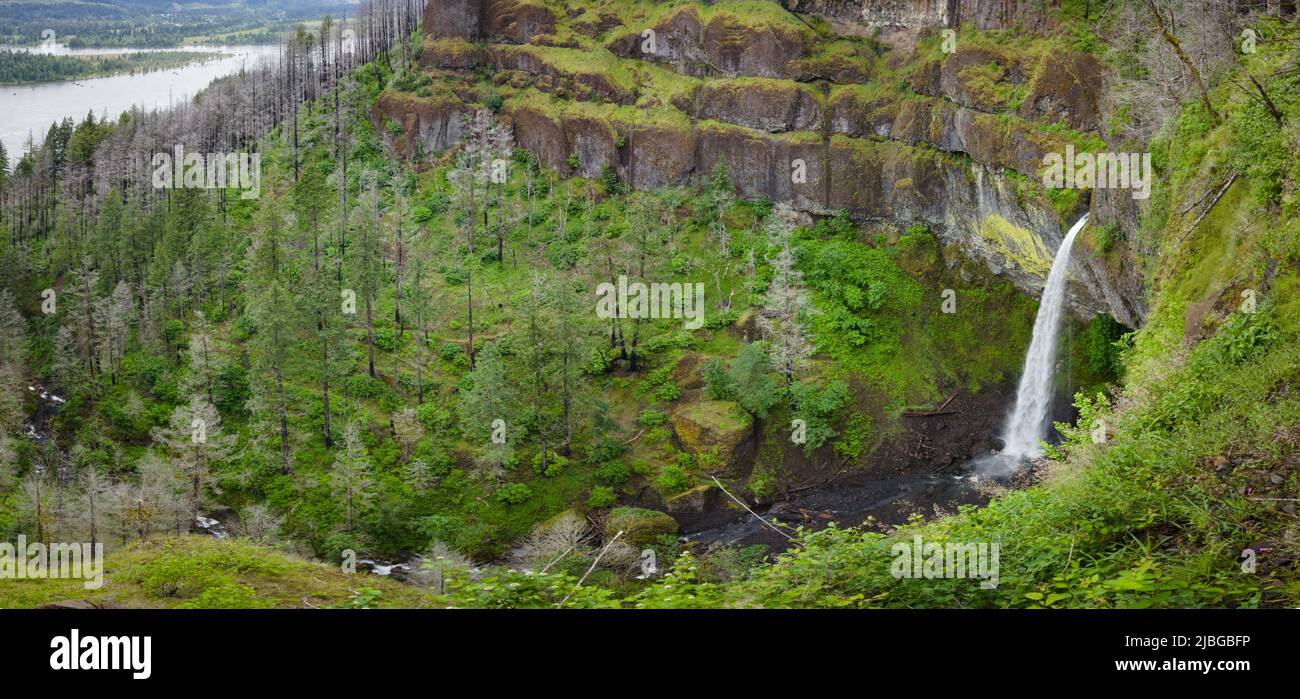 Die von Wäldern umgebenen Wahkeena Falls fließen an einer Basaltklippe in einen wunderschönen Slot Canyon und münden schließlich in die malerische Columbia River Gorge. Stockfoto