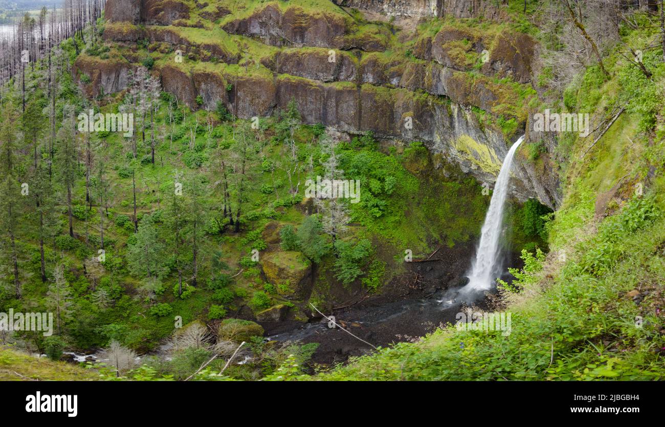 Die von Wäldern umgebenen Wahkeena Falls fließen an einer Basaltklippe in einen wunderschönen Slot Canyon und münden schließlich in die malerische Columbia River Gorge. Stockfoto