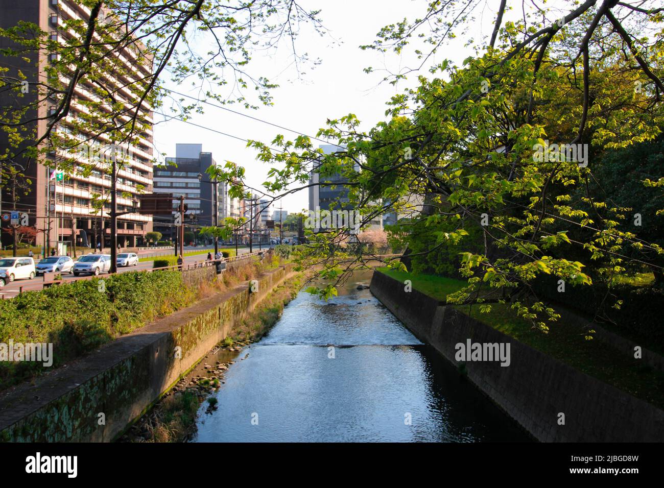 Das Bild des Flusses Tsuboi im Stadtzentrum von Kumamoto, Kyushu, Japan. Dieses Gebiet befindet sich in der Nähe des Schlosses Kumamoto. Stockfoto