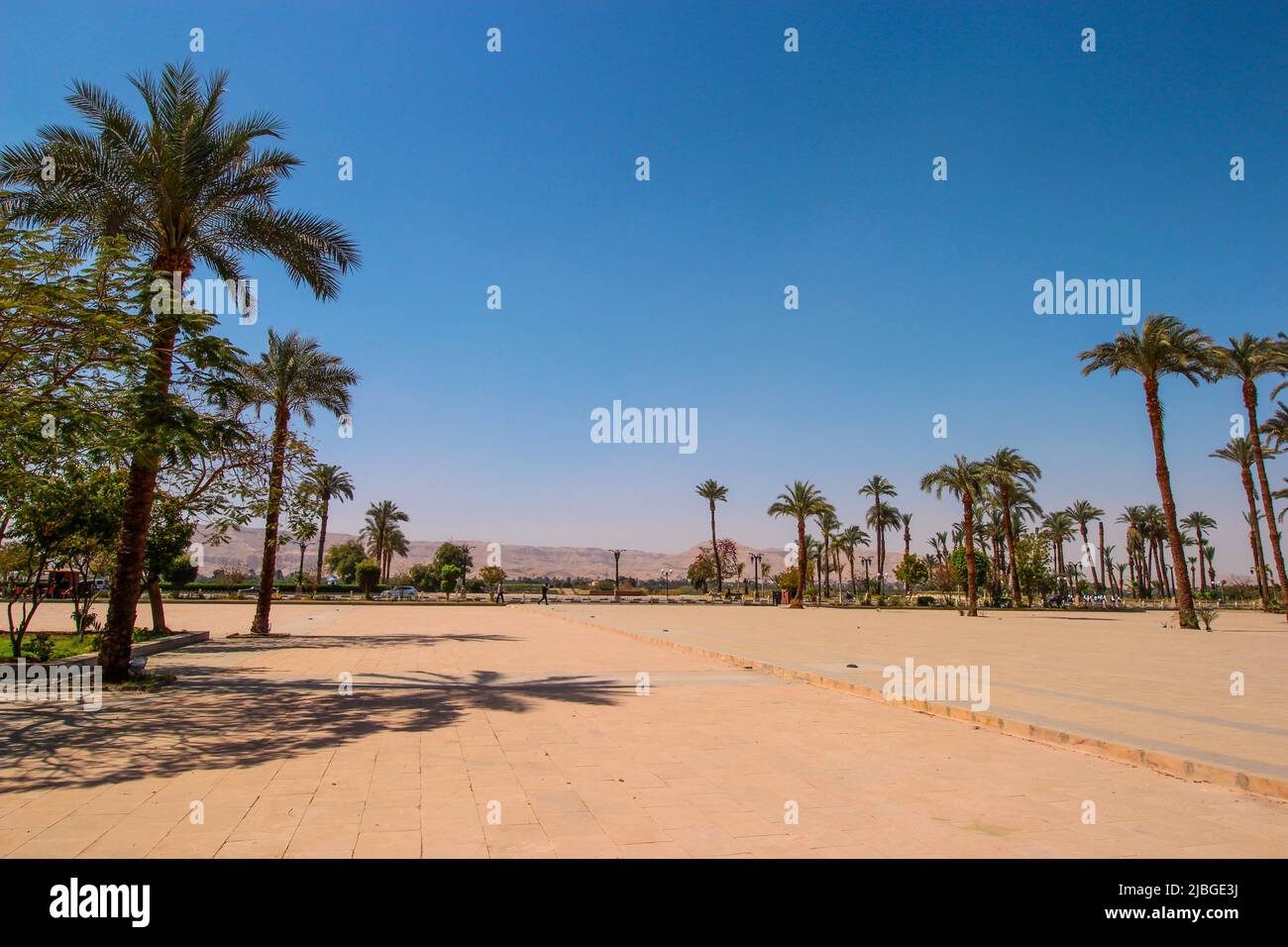 Innenstadt in Luxor, Ägypten. Bild der Ruinen mit Kakteen und Bäumen in der Wüste außerhalb des Stadtzentrums. Stockfoto