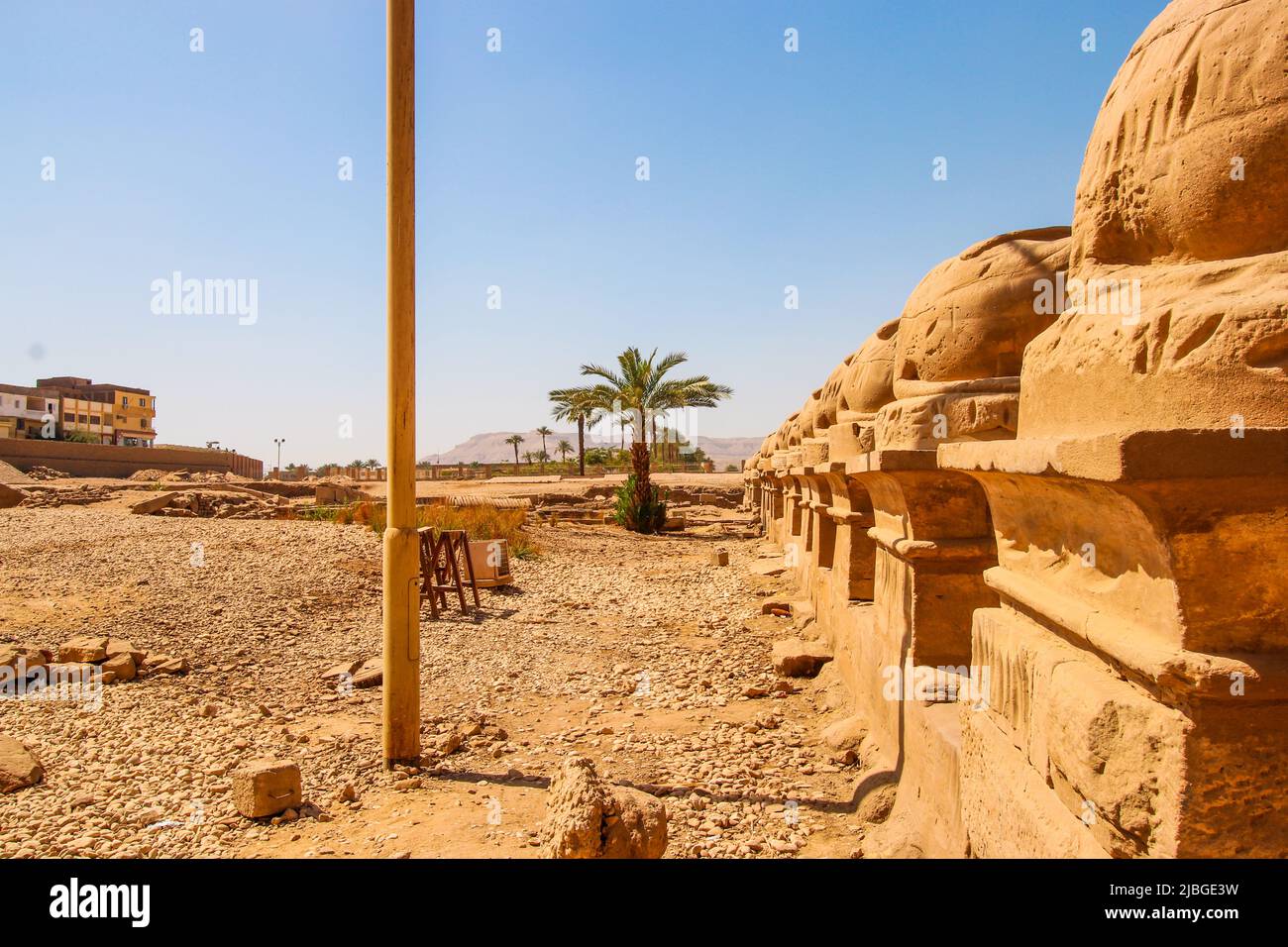 Innenstadt in Luxor, Ägypten. Bild der Ruinen mit Kakteen und Bäumen in der Wüste außerhalb des Stadtzentrums. Stockfoto